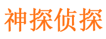 会东市侦探公司